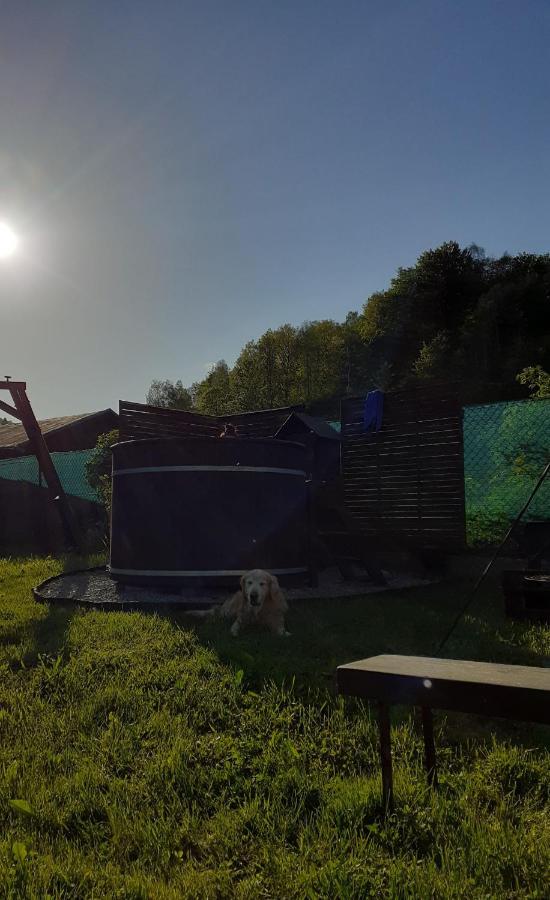 Beskidzka 25A Szczyrk Exteriör bild